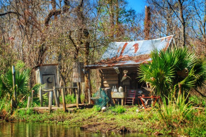 a tree in front of a house