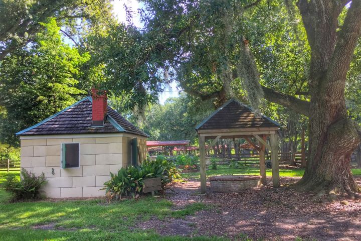a tree in front of a house