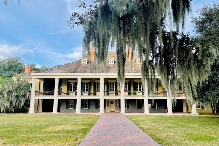 Historic building with columns and Spanish moss, brick path leading to entrance.