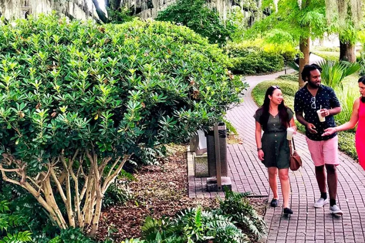 Three people walking on a brick path in a lush green park with large trees and hanging moss.