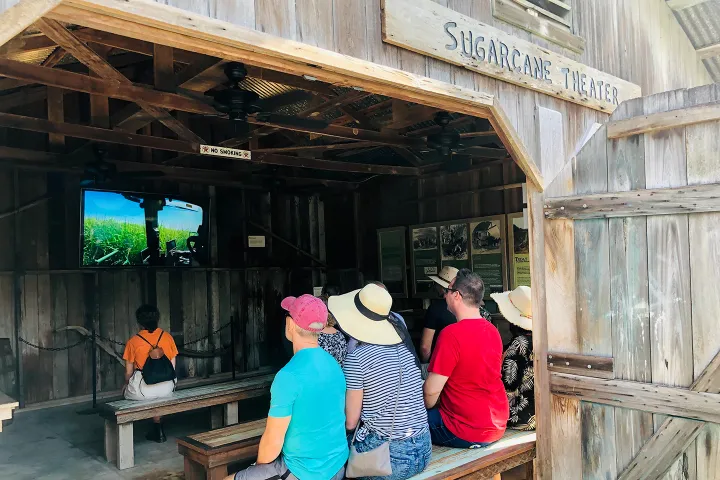 People seated in a wooden theater watching a screen in the Sugarcane Theater.