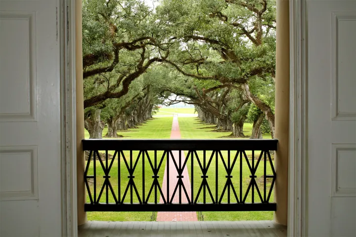 View of a tree-lined path through open doors and a balcony railing.