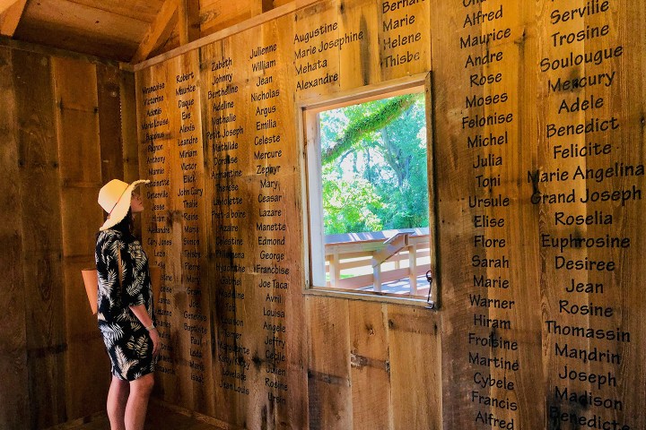 Woman in hat reading names on wooden walls near a window with trees visible outside.