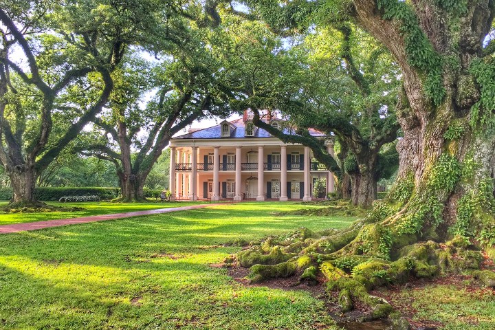 Historic mansion with large columns, surrounded by large, moss-covered oak trees on a sunny day.