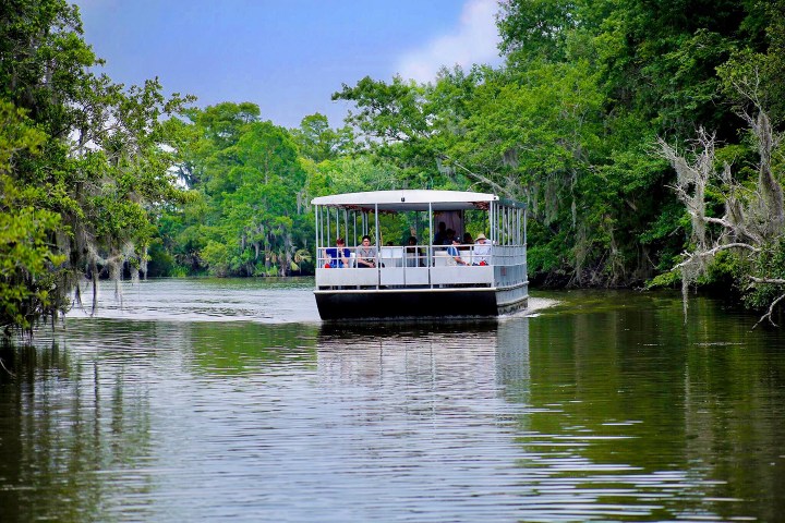 A tour boat on a calm river surrounded by lush greenery.