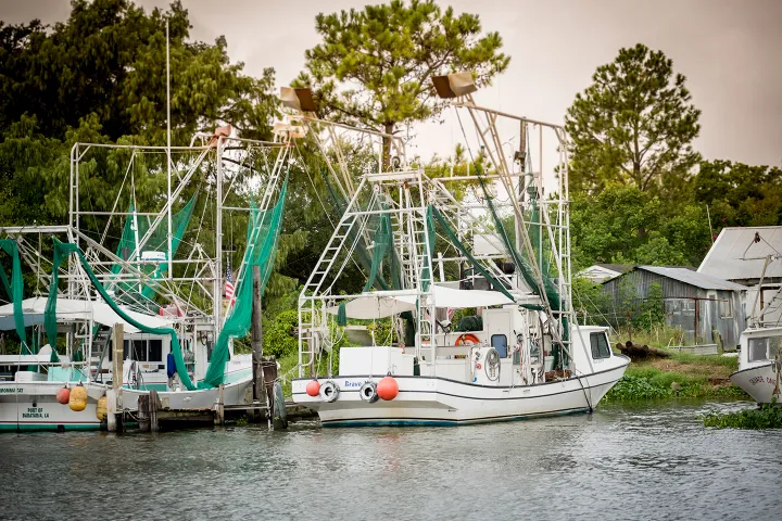 Fishing boats with nets docked by a tree-lined shore.