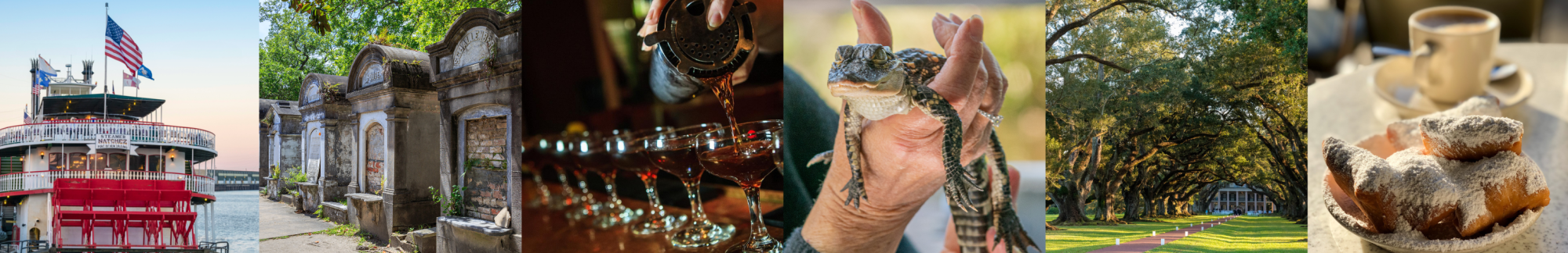 a person sitting at a table with wine glasses