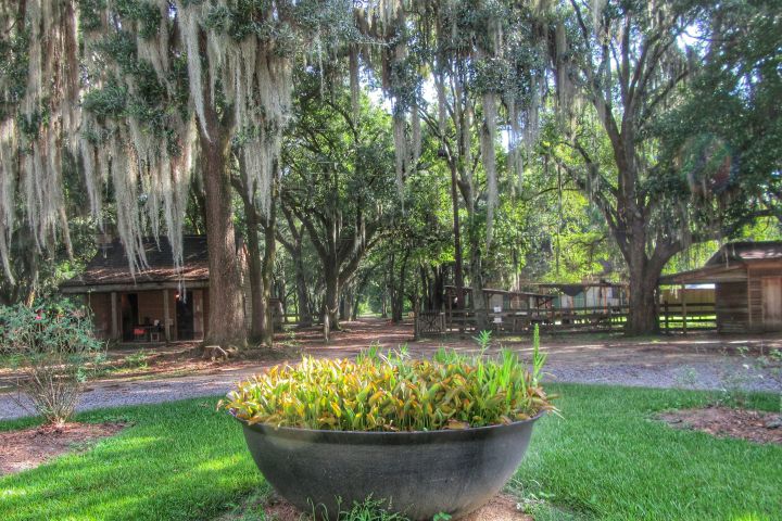 a bench in front of a tree