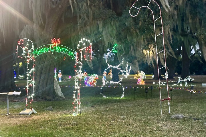 Christmas lights with a lit archway, candy canes, snowman, and holiday decorations in a park.