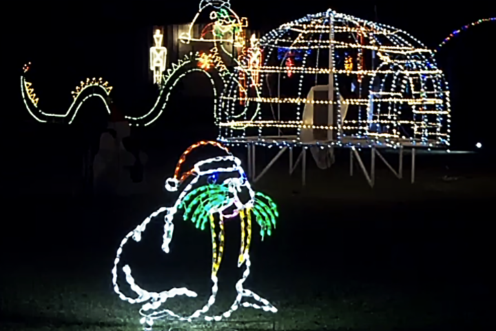 Christmas light display of an igloo and walrus wearing a Santa hat at night.