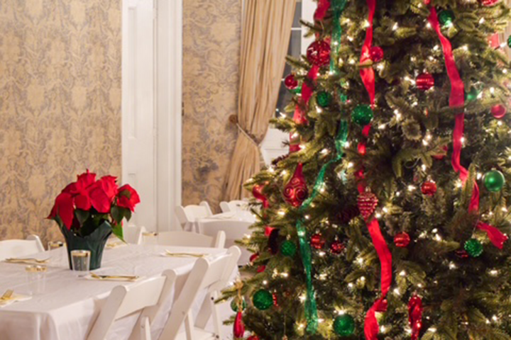 Decorated Christmas tree with red ribbons, ornaments, and a nearby table with poinsettias.
