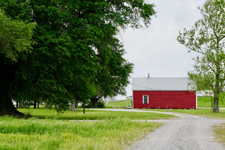 Red barn with metal roof near large trees and gravel path on a cloudy day.