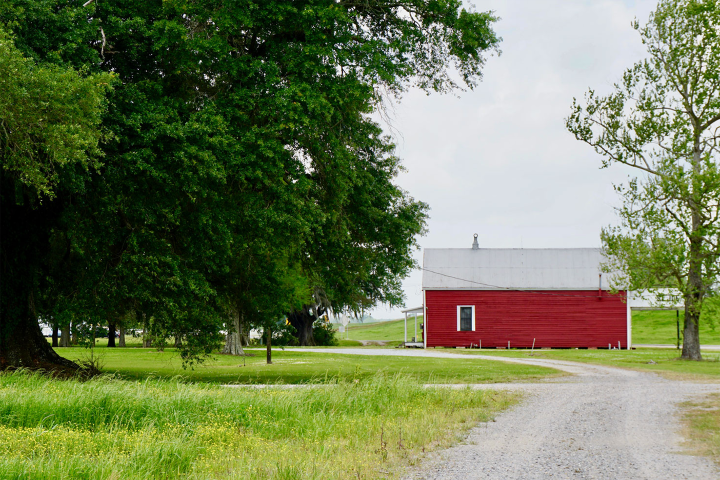 Red barn on a grassy landscape with trees and gravel path.