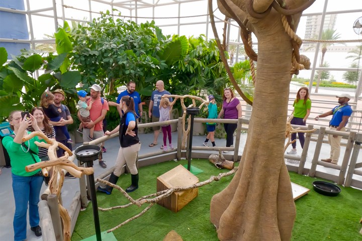 Group of people gathered near a large artificial tree in a greenhouse or exhibit.