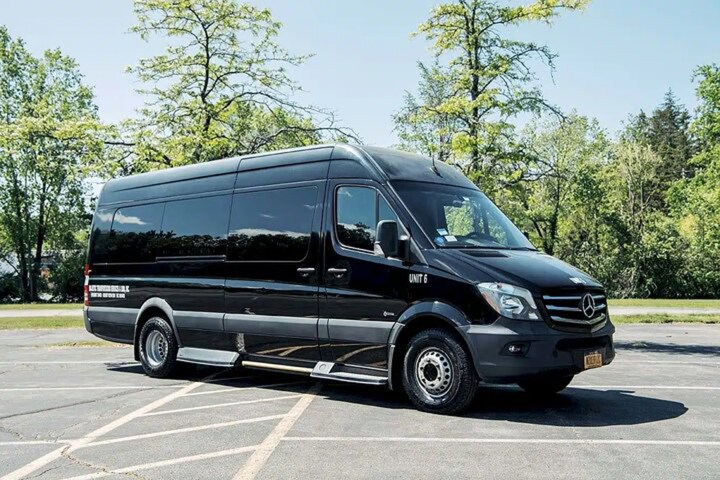 Black Mercedes van parked in a sunny lot with trees in the background.