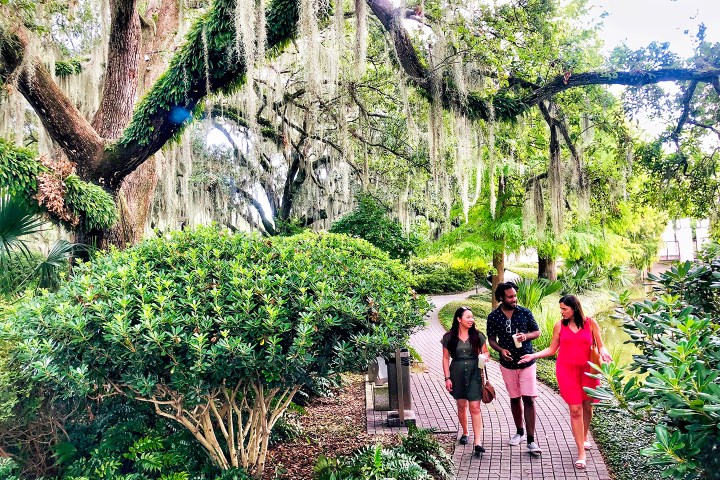 Three people walking on a brick path surrounded by lush greenery and hanging moss.